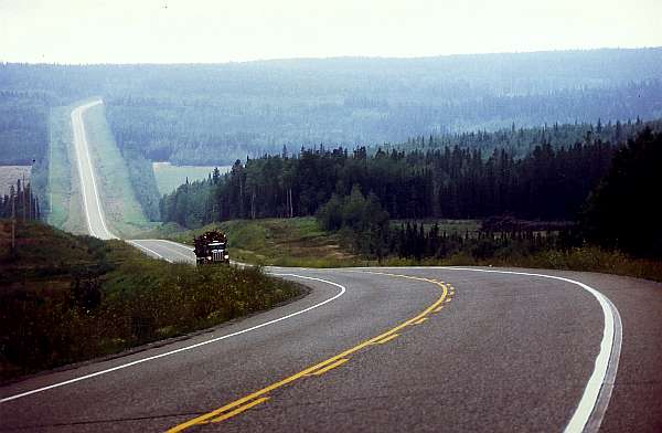 7.Shepards Inn - Pink Mountain: "Asphalt - Bandwurm"