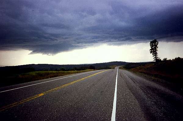 7.Shepards Inn - Pink Mountain: "Bizarre Regenfront"