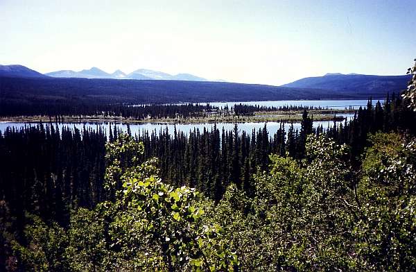 17. Rancheria River - Morley River: "Im Tal des Swift River"