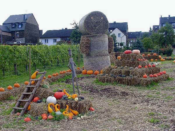 3. Briedern - Graach: "Krbisausstellung"