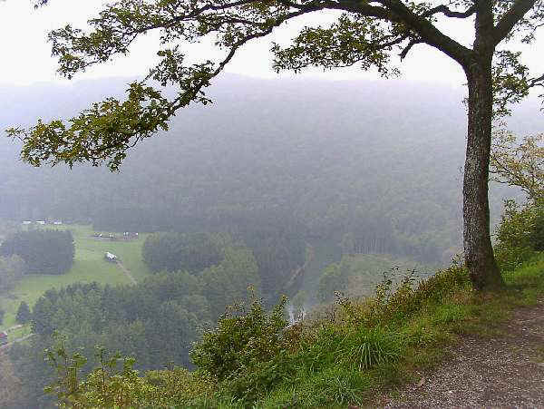 9. Membre - La Roche: "Feuchter Aufstieg"