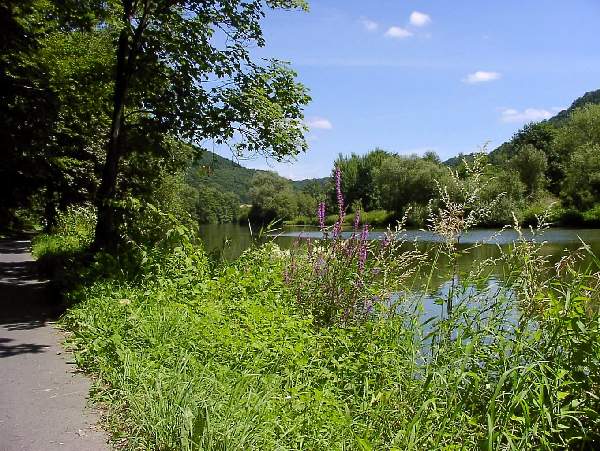 2. Namedy - Balduinstein: "Schne Lahn"