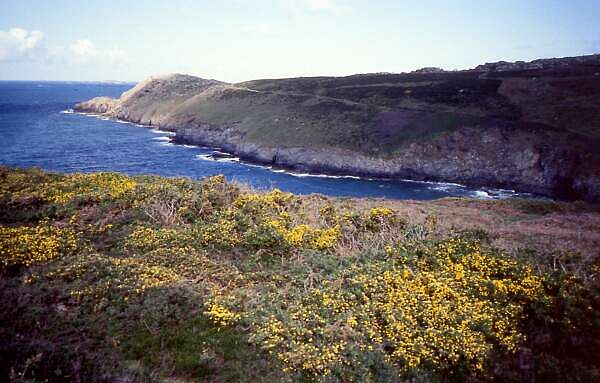 Wanderung: "St. Davids Head"