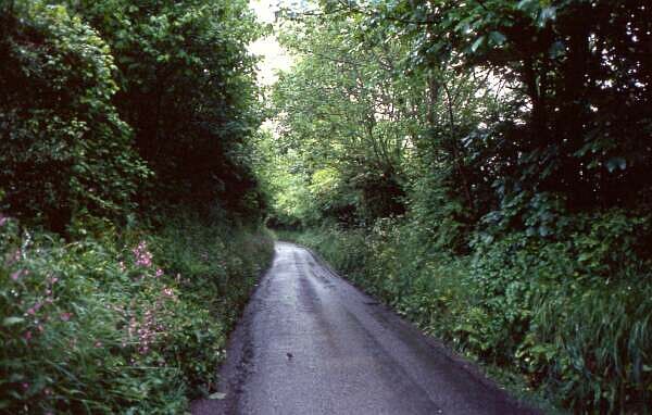 14. St.Davids Head - Llanfallteg: "Feuchtbiotop fr Genussradler"