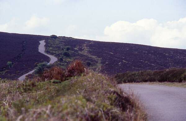 18. Watchet - Barnstable: "Steiles Exmoor"