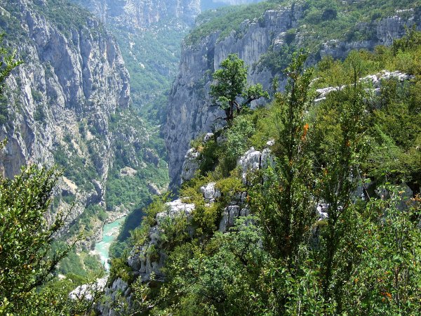 Verdon - wilder Teil