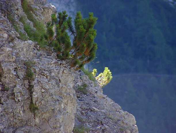 Wanderung 2: "Seitenblick"