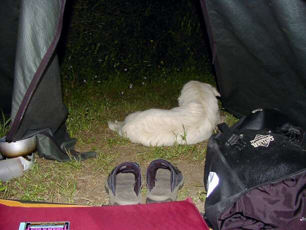 6. Venafro - Baja Domizia: "Wachhund am Abend"