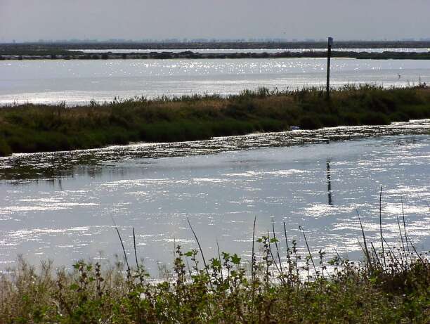 15. Bari - Manfredonia: "Saline"