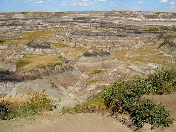 Horseshoe Canyon