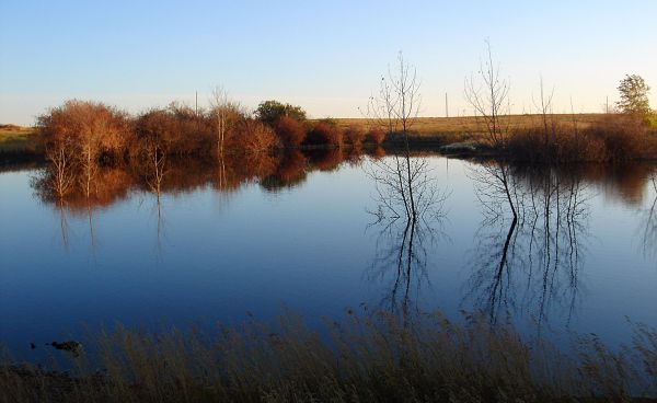 Blauer Abend