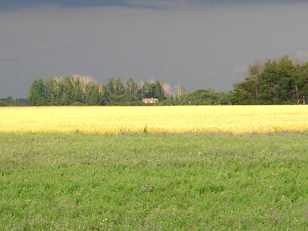 Drohendes Klima