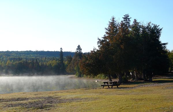 Frhnebel aufm Campground