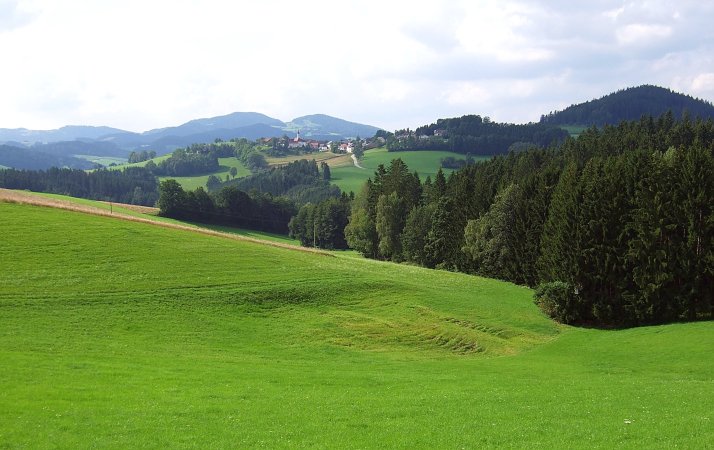 Aufstieg zum Bhmerwald