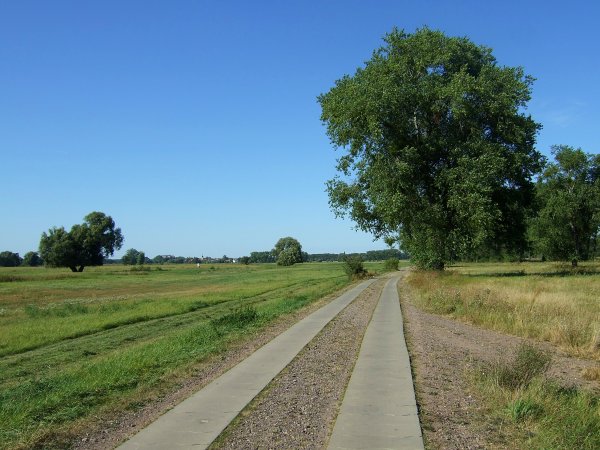 Typisch ostdeutscher Radlweg