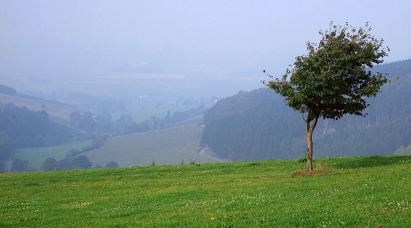 Auf der Hochsauerland-Hhenstrae