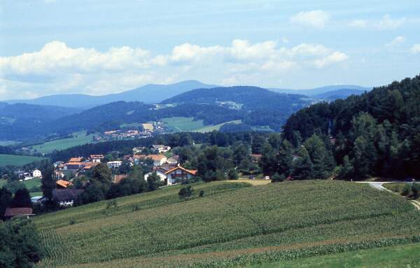 6. Rofelden - Haidmhle: "Bayrischer Wald vom Feinsten"