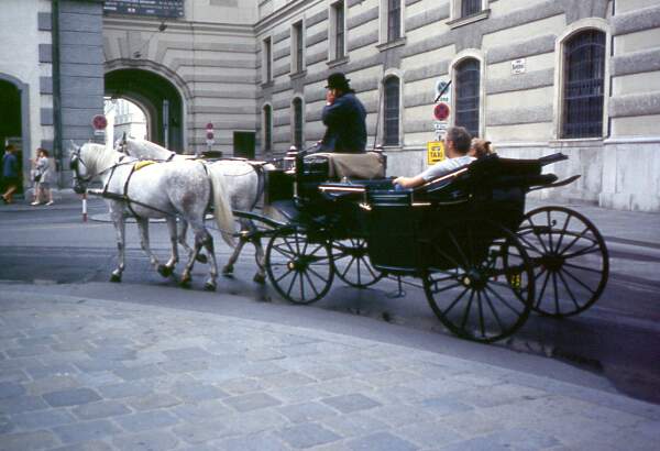 Wien: "Handy aufm Fiaker"