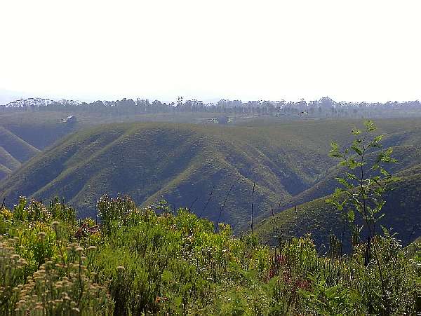 14. Knysna - Natures Valley: "Eingang zum Tsitsikama Park"