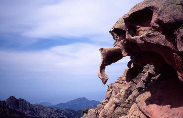 Wanderung Capu d' Orto: "Steinelefant"