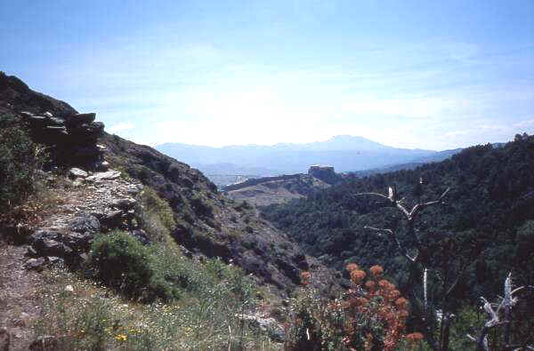 Tavignano-Schlucht