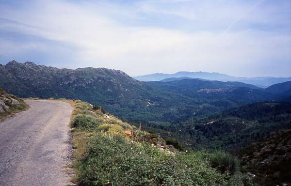 24. Corte - Ghisoni: "Col de Sorba"