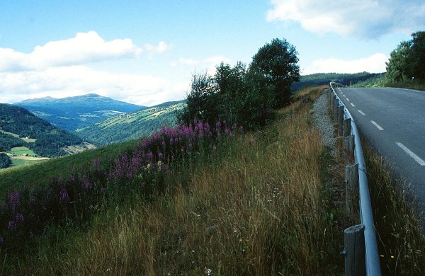 16. Randsverk - Atnbrua: "Tschs Gudbrandsdal"