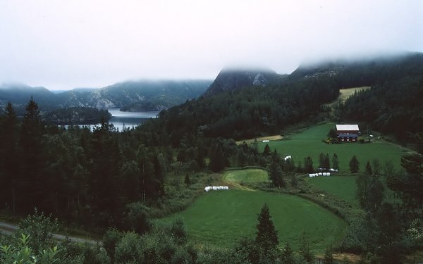 20. Hofles - Brnnysund: "Stochern im Nebel"