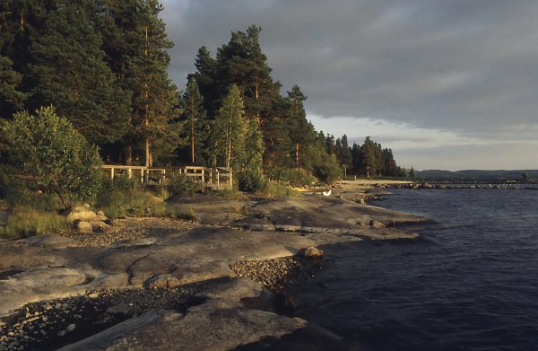 36. Kuhmo - Lieksa: "Abends am See"