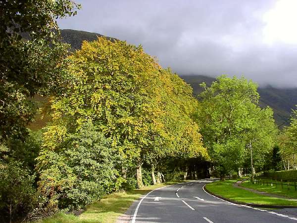 31. Loch Cluanie - Fort William: "Ben Nevis?"