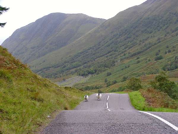 32. Fort William - Glencoe: "Glen Nevis"
